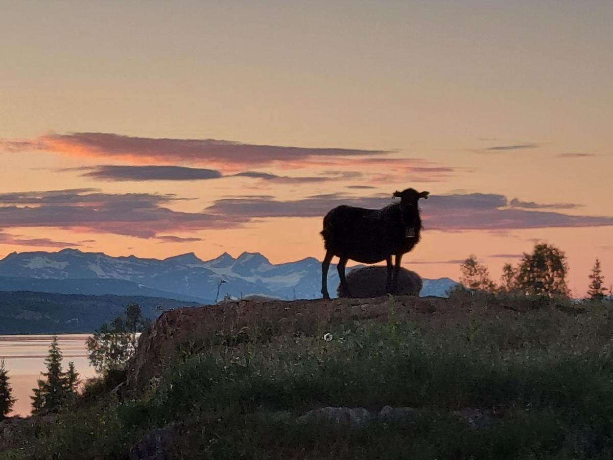 Villmarksgard Tommerstue Hattfjelldal Exteriér fotografie